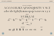Cagier, a Serif Font by Nathatype (Thumbnail 10 of 10)
