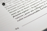 Falace, a Serif Font by TeGeType foundry (Thumbnail 3 of 7)