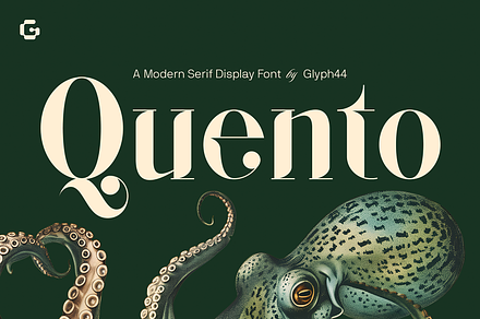 QUENTO | Modern Serif Display Font, a Serif Font by Glyph44