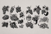 Hand Drawn Wine Vector Set, a Food Illustration by Alternate Studio (Thumbnail 5 of 10)