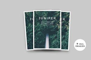 J U N I P E R  Magazine / Portfolio