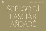 CS Calistha Disco, a Serif Font by Craft Supply Co. (Thumbnail 7 of 8)