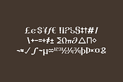 Aesthetic Mofash - Luxury Bold Font, a Serif Font by QR Design Studio (Thumbnail 10 of 13)