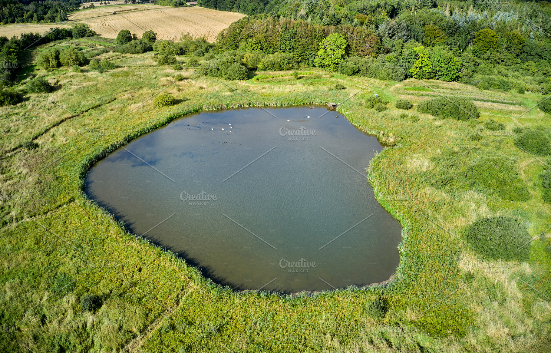 Drone pictures of Danish countryside, a Photo by Peopleimages.com
