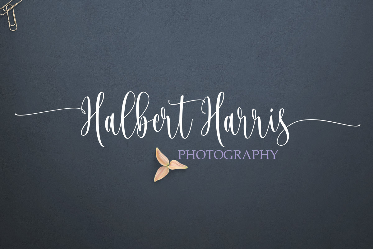 Josephira Fancy Script Font preview 3