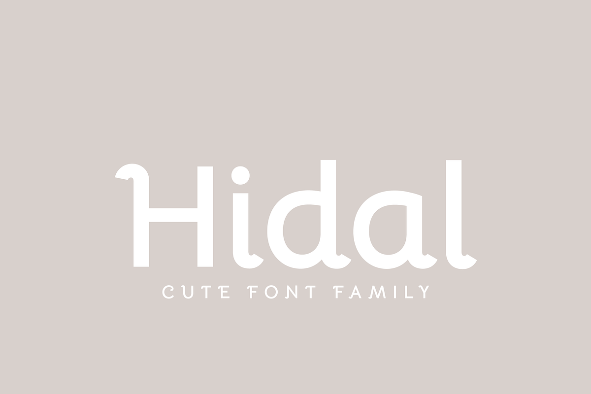 Hidal | Modern Sans Family, a Sans Serif Font by Creative Foundry (Photo 1 of 9)