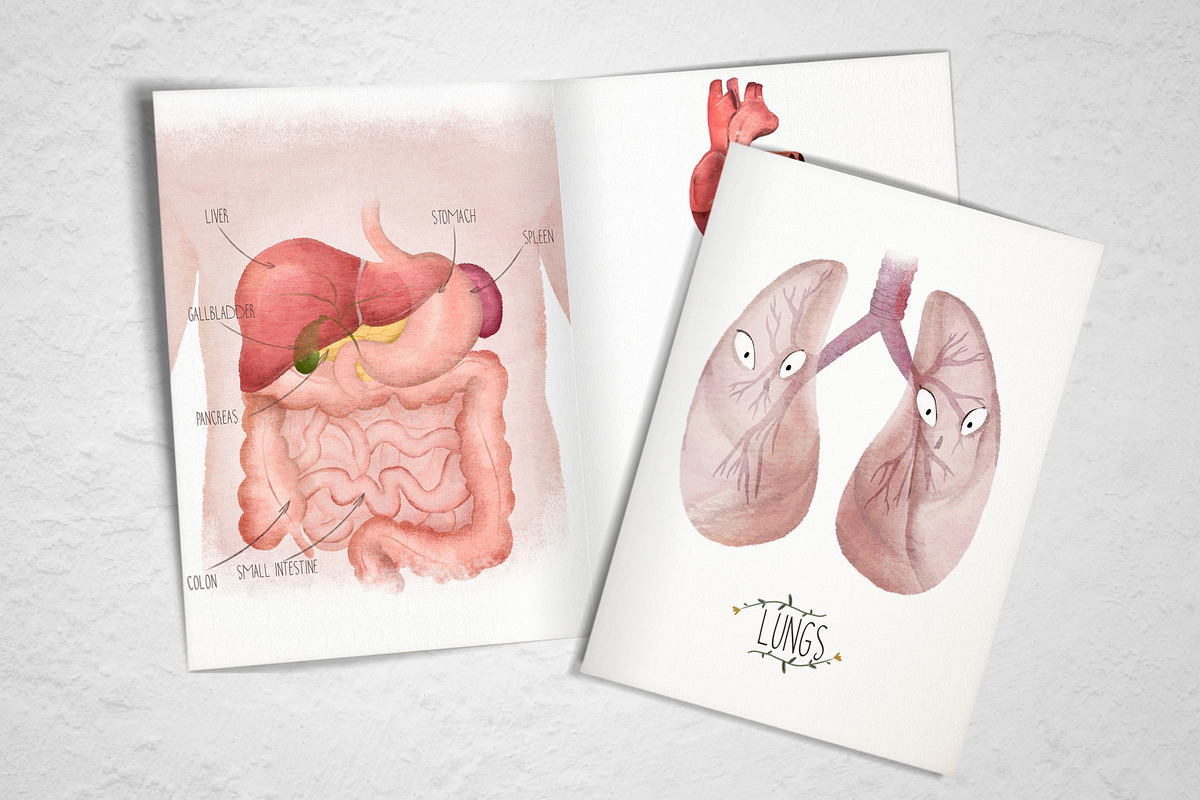 Human Anatomy Watercolor Organs, an Education Illustration by Innerlanel (Photo 3 of 3)