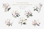 Watercolor Magnolia Patterns, a Pattern Graphic by Holovei (Thumbnail 5 of 10)
