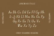 Junewood by Cindy Roaming Designs, a Serif Font by cindyroamingdesigns (Thumbnail 6 of 8)