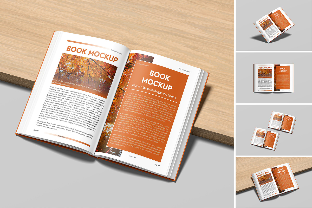 Open Book Mockup, a Books & Magazine Mockup by graphicsecond (Photo 1 of 7)