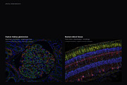 Biomedical Microscopy, a Healthcare Illustration by liravega (Thumbnail 5 of 7)