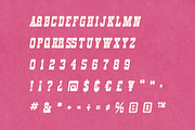 Salo - Display Font, a Serif Font by Tim Hankins Design (Thumbnail 3 of 14)
