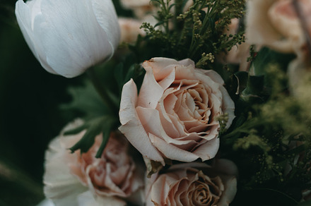 Flower bouquet photo stock photo containing flowers and floral, a Nature Photo by Amaranth Creative Co.