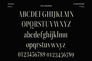 ZT Neue Ralewe Luxury Serif 90 Font, a Serif Font by zelow type (Thumbnail 22 of 24)