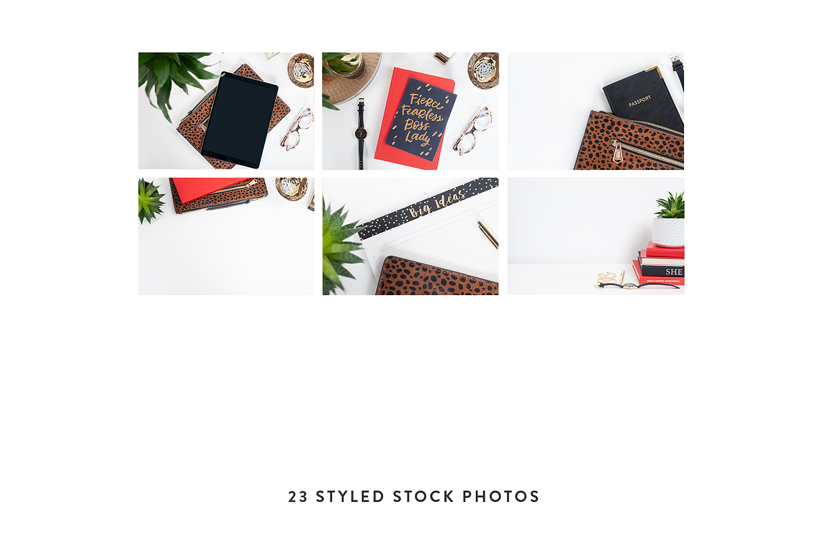 Fierce Boss Lady Styled Stock Bundle, a Photo by Jessica Rea (Photo 4 of 5)