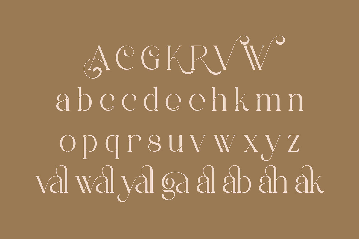 Rovale - Modern Typface Serif, a Serif Font by AnnofaType (Photo 7 of 8)
