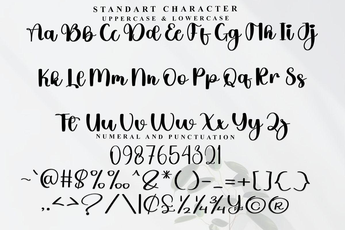 Delighter, a Handwritten Font by InermediaSTUDIO (Photo 5 of 8)