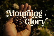 Regus Display - 90's Serif Family, a Serif Font by Holyline Design (Thumbnail 8 of 15)
