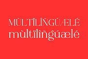 Viona Collins-Modern Serif Typeface, a Serif Font by Font Kingdom (Thumbnail 7 of 7)