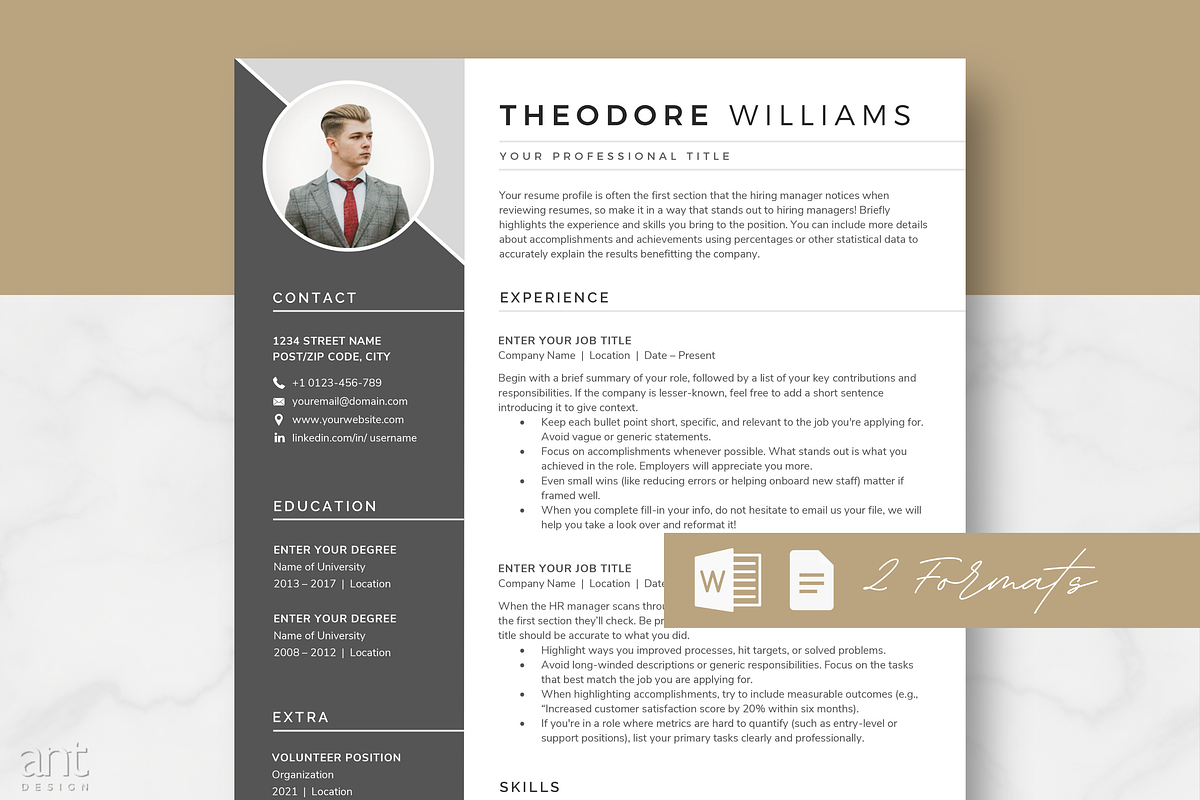 Modern Resume Template - Theodore preview 2