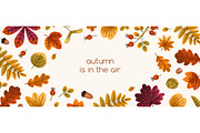 Autumn leaves. Fall set, backgrounds, a Seasonal Illustration by Good Studio (Thumbnail 7 of 13)