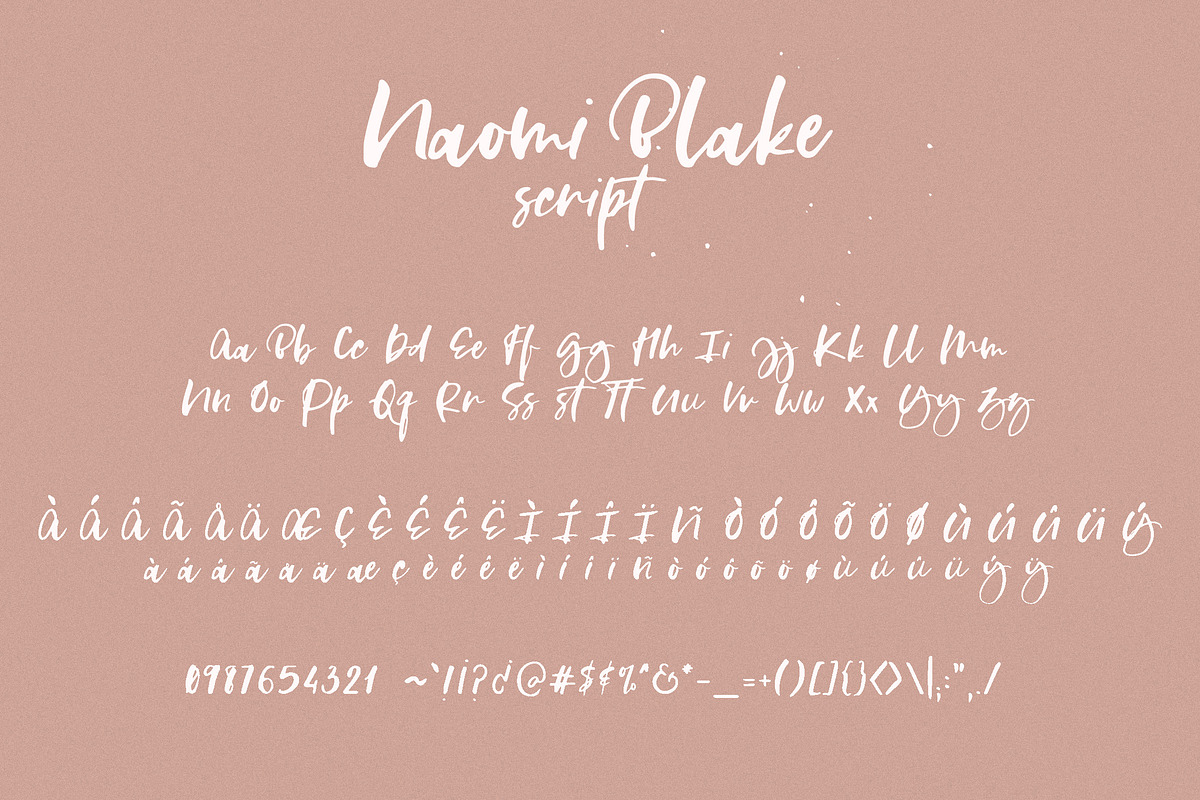 Naomi Blake, a Script Font by BlueRobinDesignShop (Photo 19 of 20)