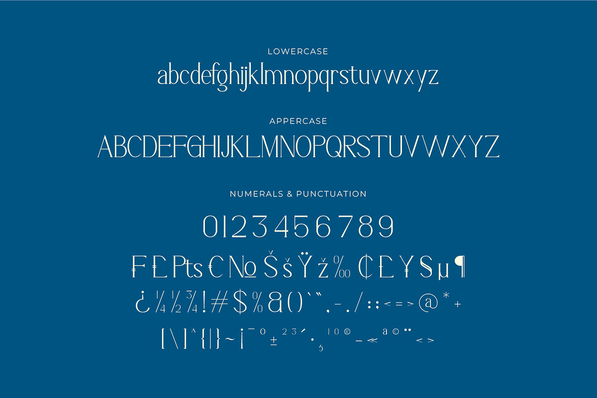 Lyrvand - Modern Serif Font, a Serif Font by Rishsketch (Photo 13 of 15)