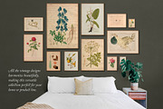 BUNDLE: 200 Vintage Art Prints, a Decorative Illustration by The Object Atlas (Thumbnail 2 of 22)