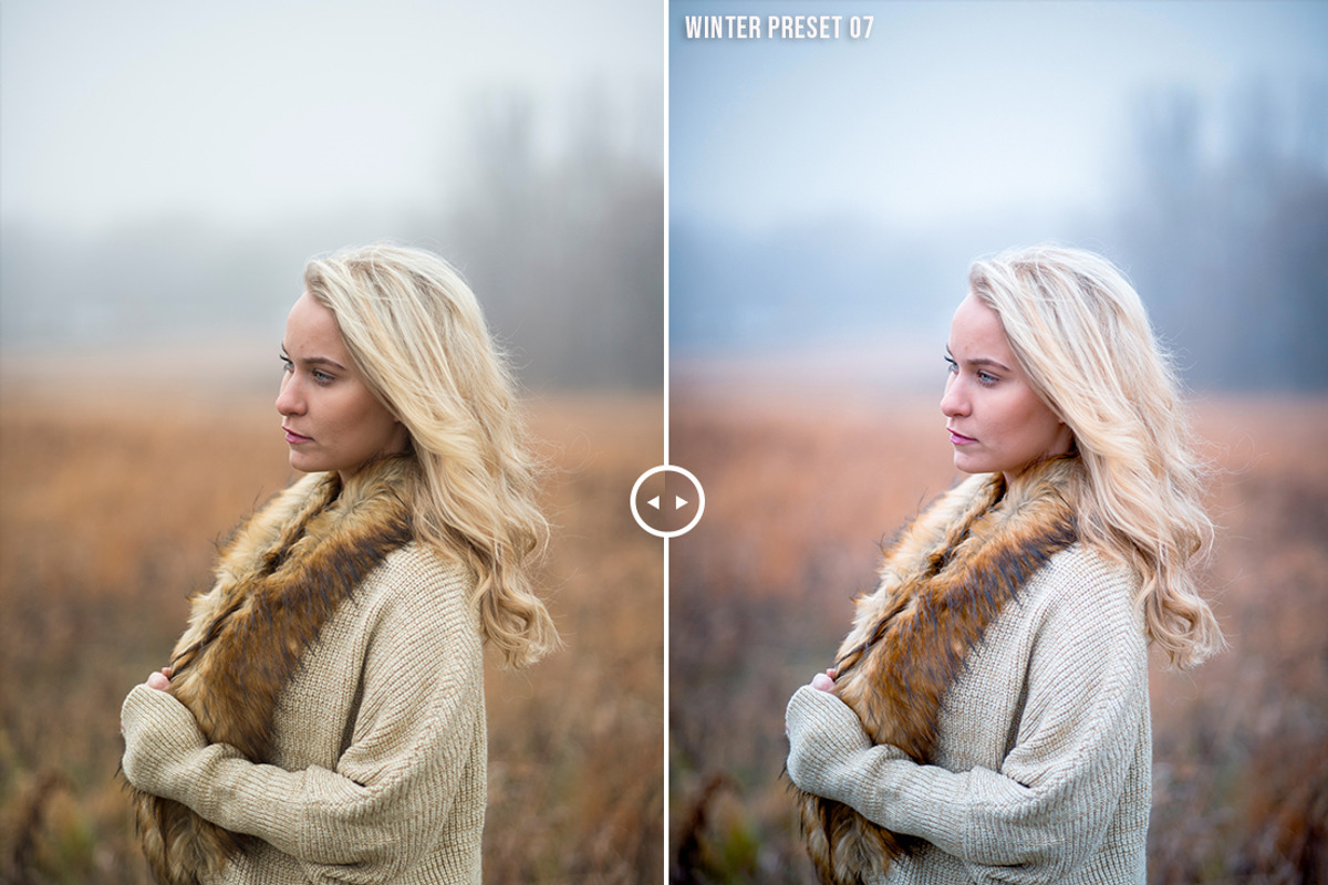 Pro Winter lightroom presets preview 8