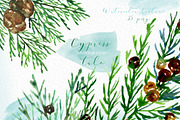 Cypress. Watercolor clipart, a Decorative Illustration by LABFcreations (Thumbnail 7 of 12)