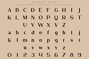 Bungalow Typeface - 9 fonts, a Serif Font by VP Fonts (Thumbnail 14 of 19)