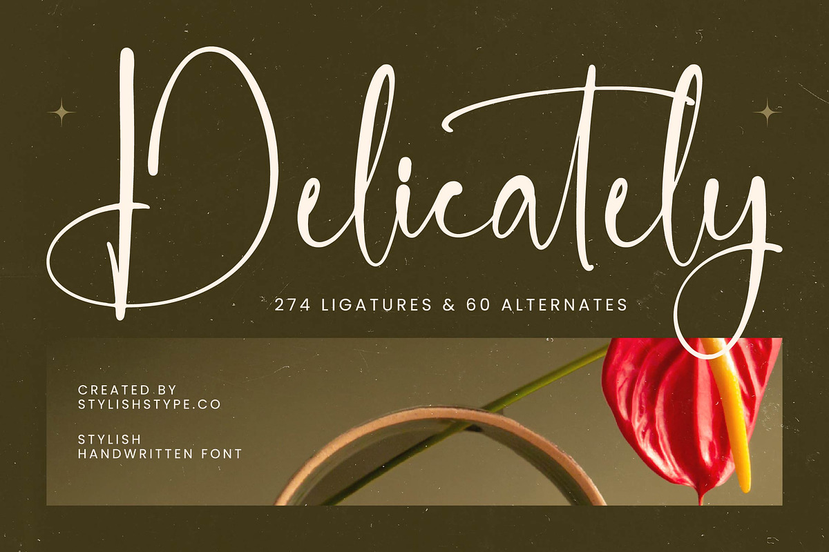 Delicately Stylish Handwritten Font, a Serif Font by stylishtype.co (Photo 1 of 20)