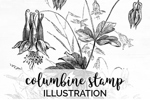 Columbine Stamp Vintage Flowers