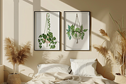 Hanging Plants Illustrations Png, a Decorative Illustration by Paper Artsthetics (Thumbnail 5 of 6)