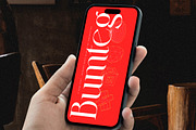 Bumteg A Modern Serif Font, a Serif Font by AmorfaType (Thumbnail 10 of 11)