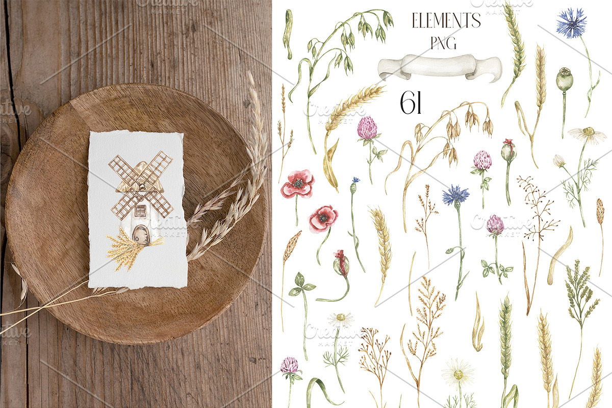 Watercolor Wheat & Field Flora, a Decorative Illustration by MayaNavits (Photo 10 of 13)