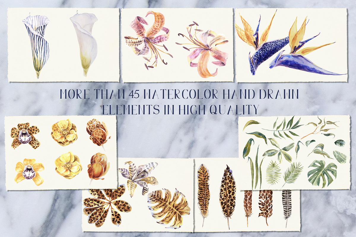 -40 Wild Trend Watercolor Collection, an Object Graphic by Cat In Colour (Photo 7 of 8)