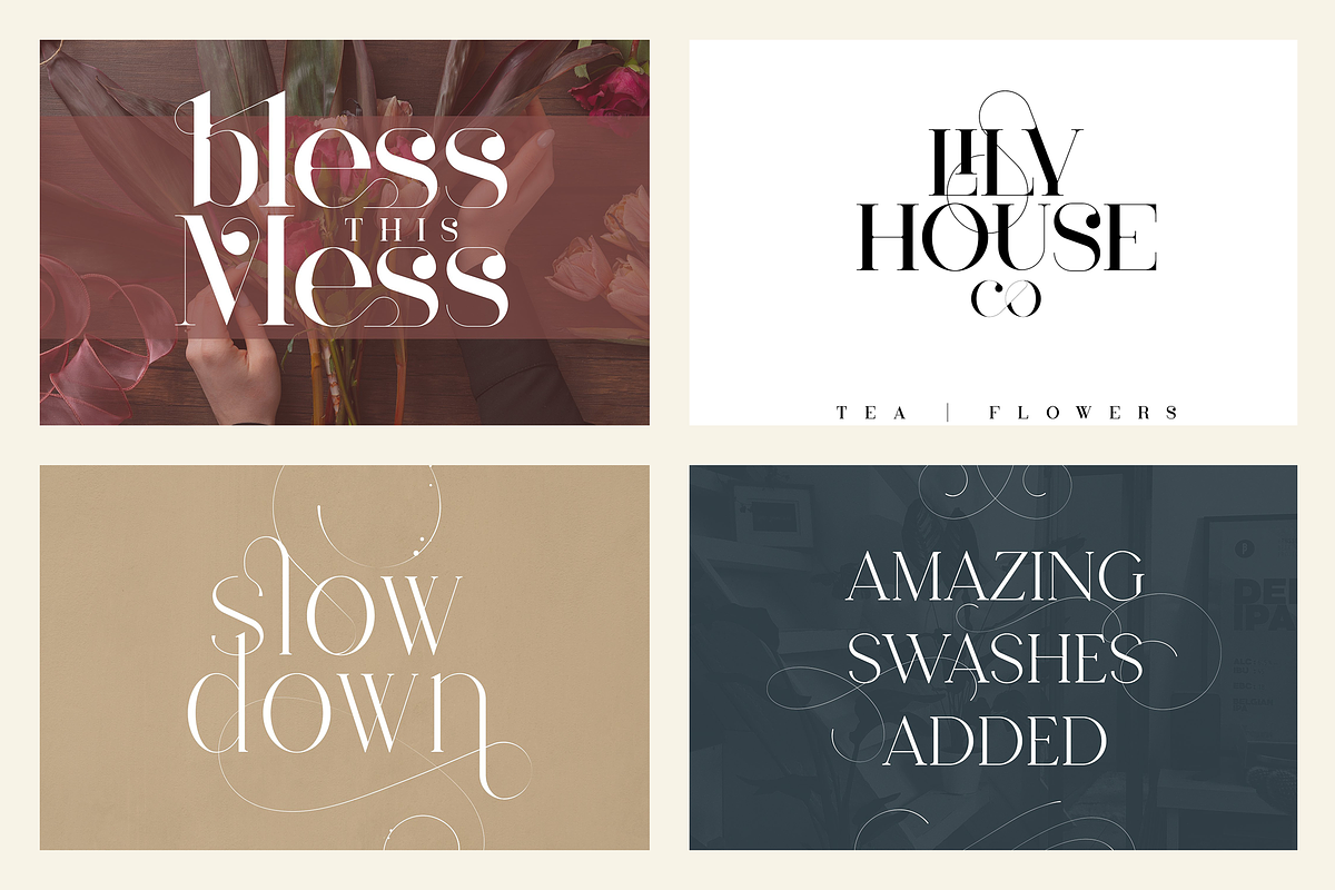 Just Type Bundle Vol.01 - 300 fonts, a Serif Font by VP Fonts (Photo 5 of 19)