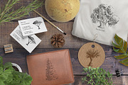 Set of Sketch Trees, an Object Graphic by Olena (Thumbnail 3 of 3)