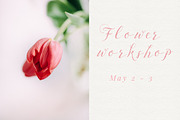 Tulips stock photo series, a Nature Photo by Nellaino (Thumbnail 4 of 6)