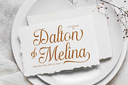 Haydenta - Calligraphic Script, a Script Font by Novitype (Thumbnail 11 of 12)