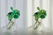 Kodak Ektar 100 IV, a Preset Add-On by colorituals (Thumbnail 3 of 8)