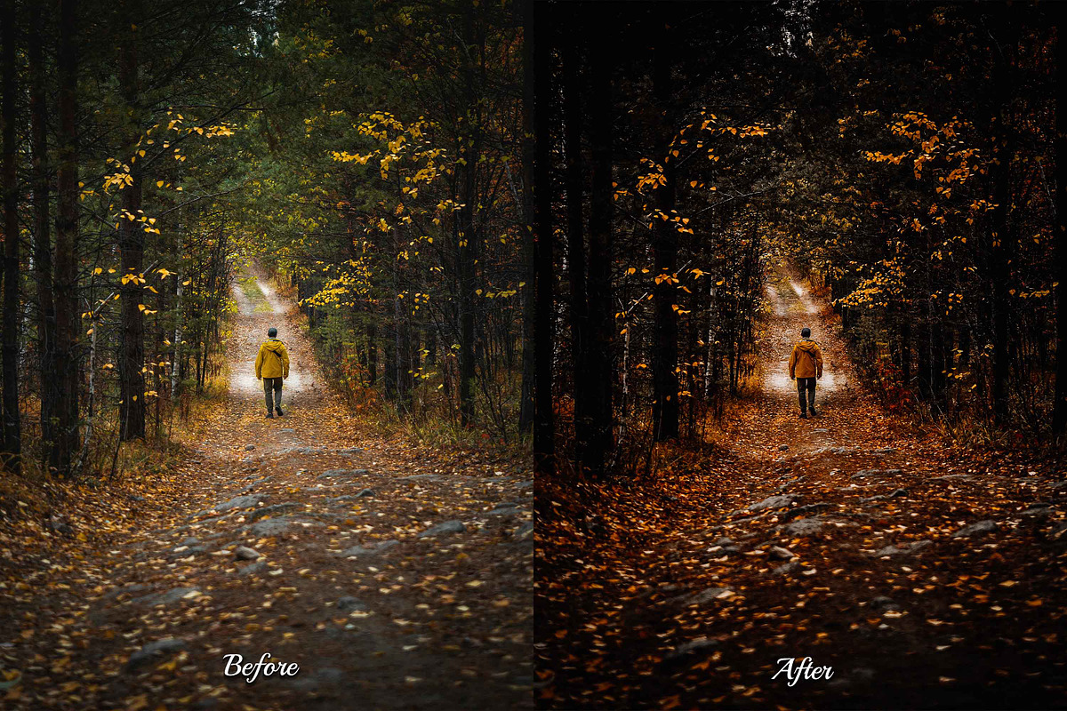 30 Rainy Fall Lightroom Collection, a Preset Add-On by 3Motional (Photo 2 of 11)