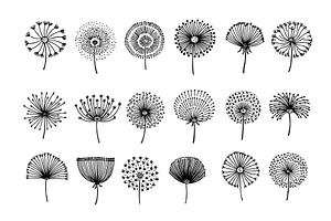 Dandelion. Abstract Graphic