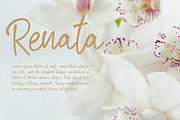 Renatta - Elegant Script Font, a Script Font by NTC Graphic (Thumbnail 6 of 9)