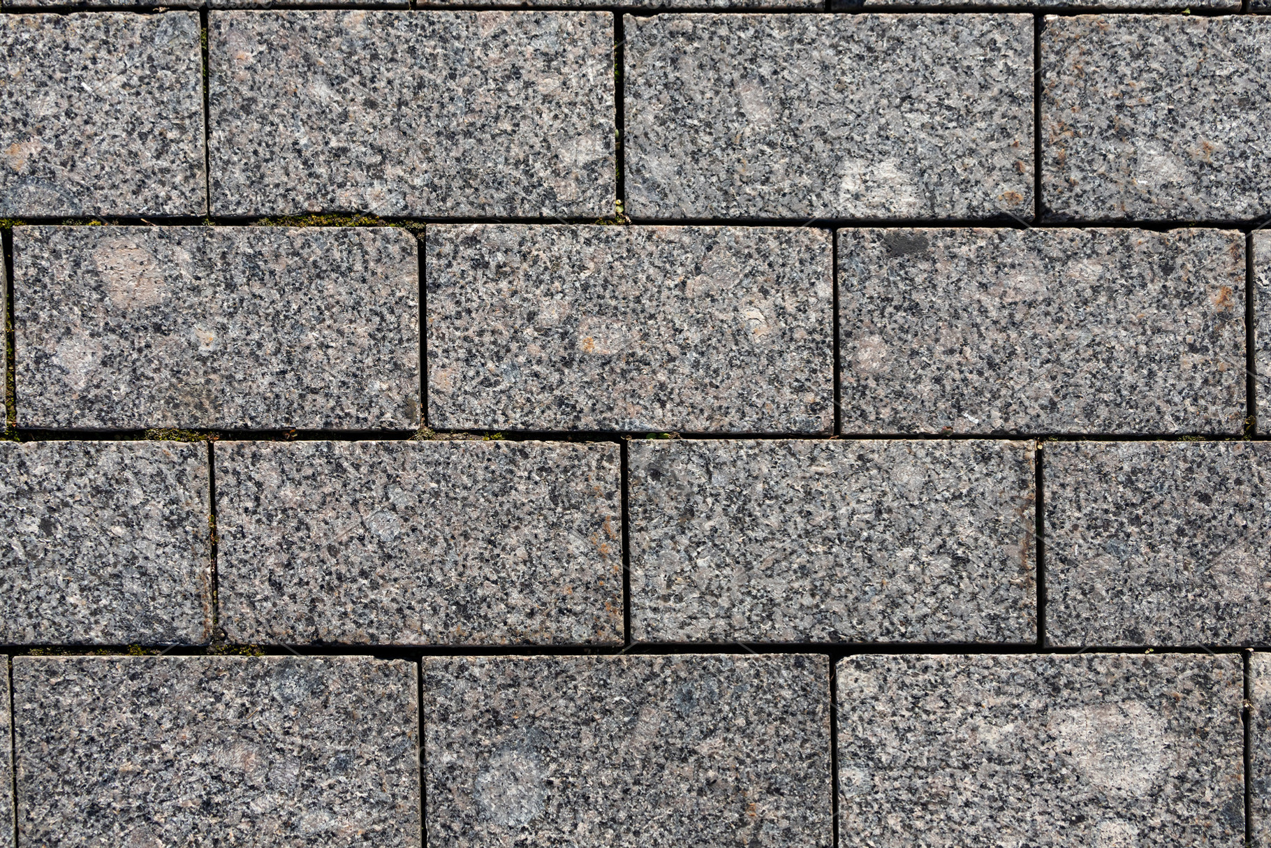 Close up, a Background Photo by Sova