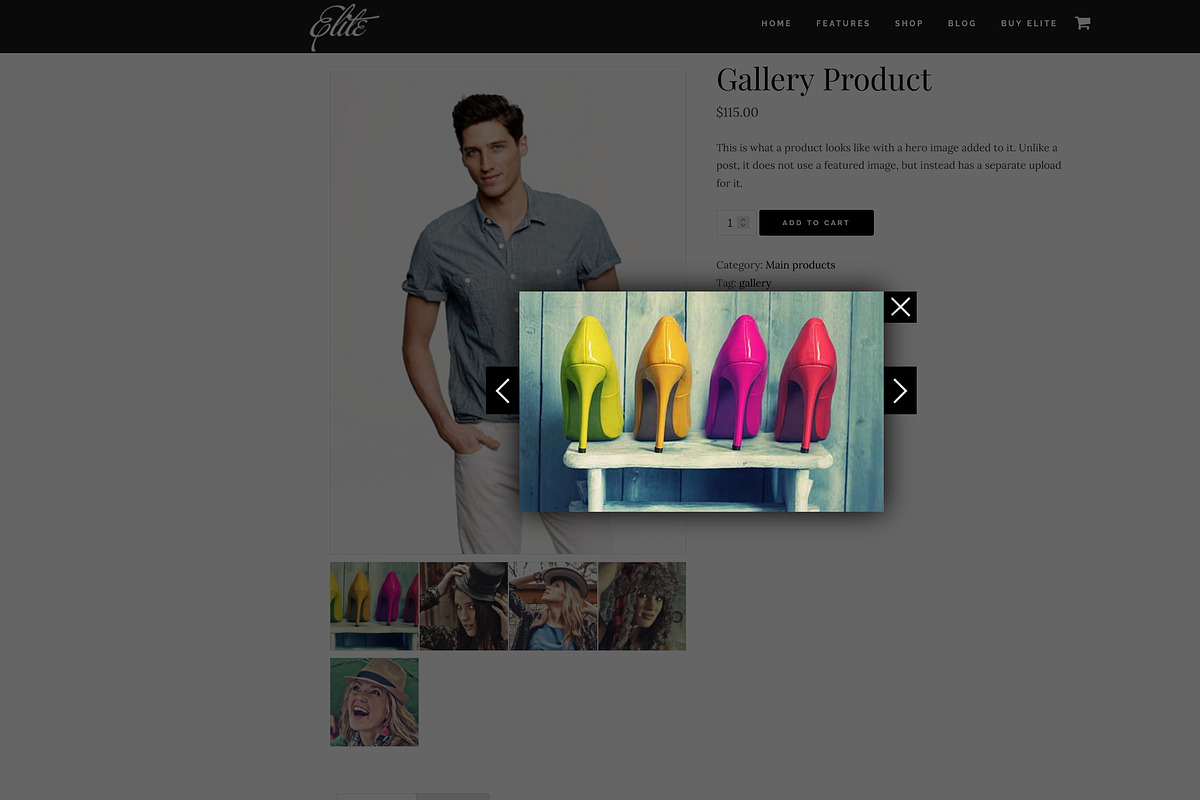 Elite Business/WooCommerce WP Theme, a WordPress Template by Organized Themes (Photo 10 of 12)