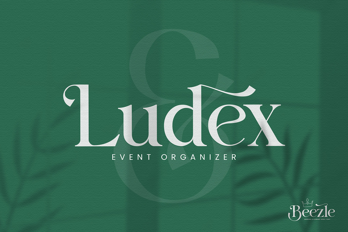 Beezle Modern Serif Font, a Serif Font by Idea Studio (Photo 3 of 10)
