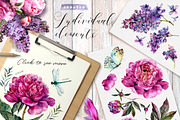 The Peony Symphony | Allegro Fuchsia, a Decorative Illustration by Inna Sinano (Thumbnail 4 of 11)