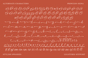 Princess Siena - A Whimsical Script, a Handwritten Font by Get Studio (Thumbnail 13 of 13)